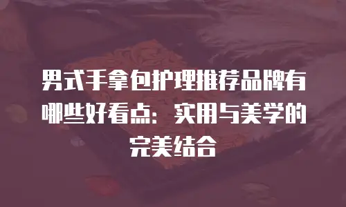 男式手拿包护理推荐品牌有哪些好看点：实用与美学的完美结合