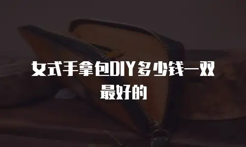 女式手拿包DIY多少钱一双最好的