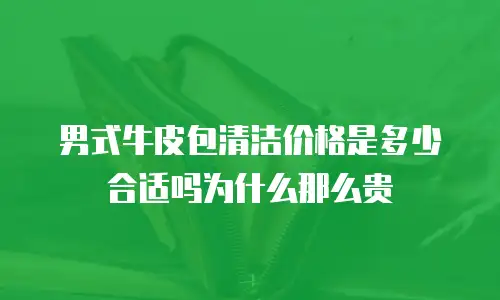 男式牛皮包清洁价格是多少合适吗为什么那么贵