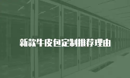 新款牛皮包定制推荐理由