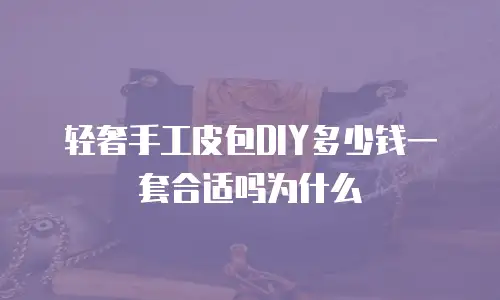 轻奢手工皮包DIY多少钱一套合适吗为什么