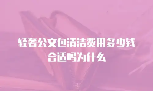 轻奢公文包清洁费用多少钱合适吗为什么
