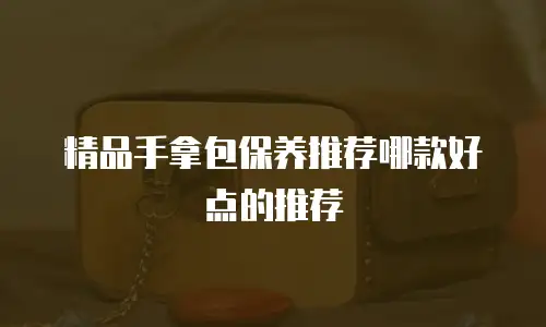 精品手拿包保养推荐哪款好点的推荐