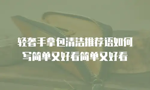 轻奢手拿包清洁推荐语如何写简单又好看简单又好看