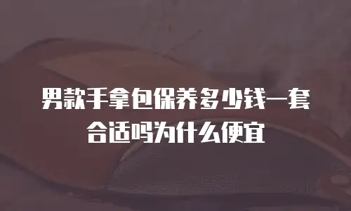 男款手拿包保养多少钱一套合适吗为什么便宜