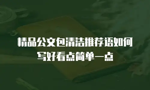 精品公文包清洁推荐语如何写好看点简单一点