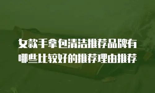 女款手拿包清洁推荐品牌有哪些比较好的推荐理由推荐