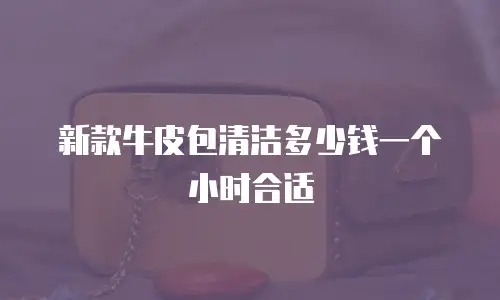 新款牛皮包清洁多少钱一个小时合适