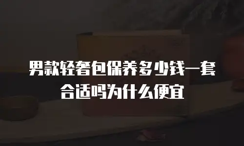 男款轻奢包保养多少钱一套合适吗为什么便宜