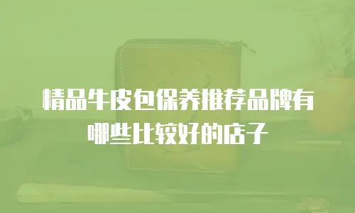 精品牛皮包保养推荐品牌有哪些比较好的店子