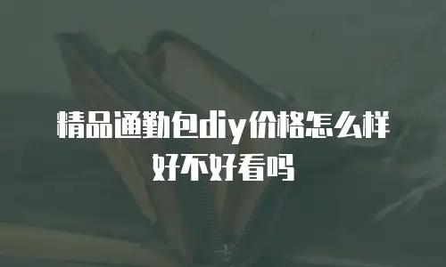 精品通勤包diy价格怎么样好不好看吗