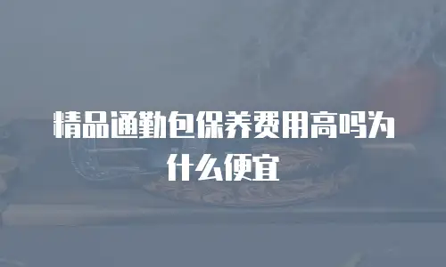 精品通勤包保养费用高吗为什么便宜