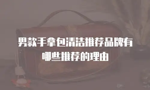 男款手拿包清洁推荐品牌有哪些推荐的理由