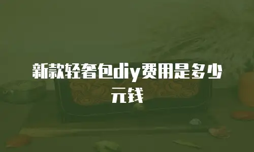新款轻奢包diy费用是多少元钱