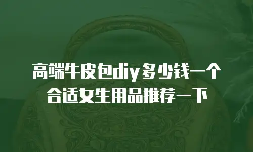 高端牛皮包diy多少钱一个合适女生用品推荐一下