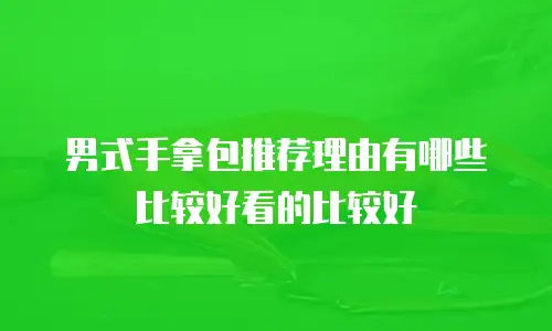 男式手拿包推荐理由有哪些比较好看的比较好