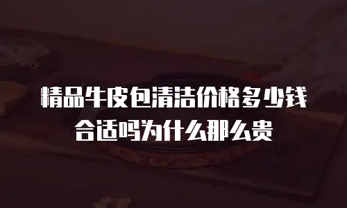 精品牛皮包清洁价格多少钱合适吗为什么那么贵