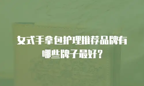 女式手拿包护理推荐品牌有哪些牌子最好？