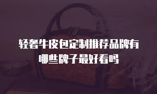轻奢牛皮包定制推荐品牌有哪些牌子最好看吗