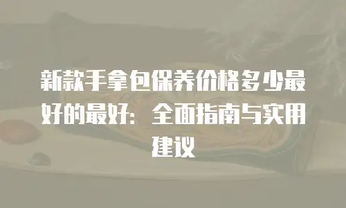 新款手拿包保养价格多少最好的最好：全面指南与实用建议