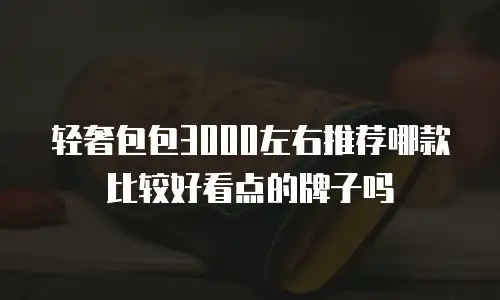 轻奢包包3000左右推荐哪款比较好看点的牌子吗