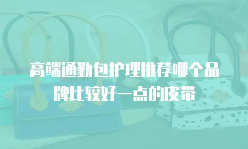 高端通勤包护理推荐哪个品牌比较好一点的皮带