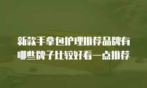 新款手拿包护理推荐品牌有哪些牌子比较好看一点推荐
