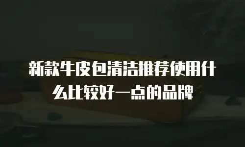 新款牛皮包清洁推荐使用什么比较好一点的品牌