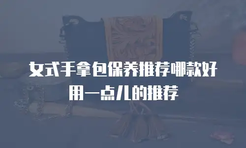 女式手拿包保养推荐哪款好用一点儿的推荐