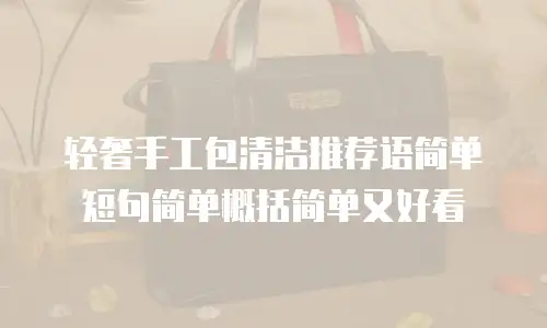 轻奢手工包清洁推荐语简单短句简单概括简单又好看