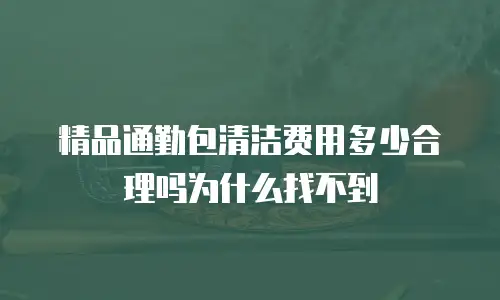 精品通勤包清洁费用多少合理吗为什么找不到