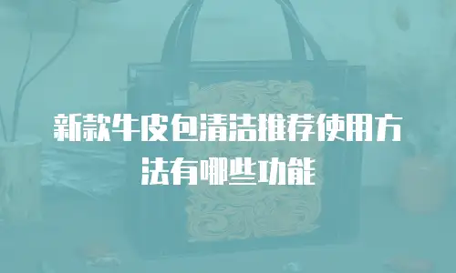 新款牛皮包清洁推荐使用方法有哪些功能