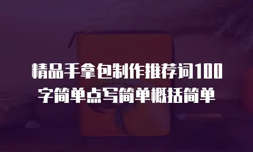 精品手拿包制作推荐词100字简单点写简单概括简单