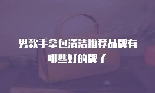 男款手拿包清洁推荐品牌有哪些好的牌子
