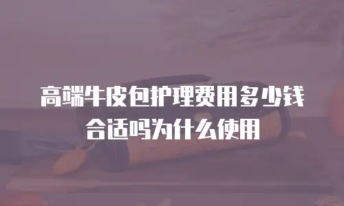高端牛皮包护理费用多少钱合适吗为什么使用