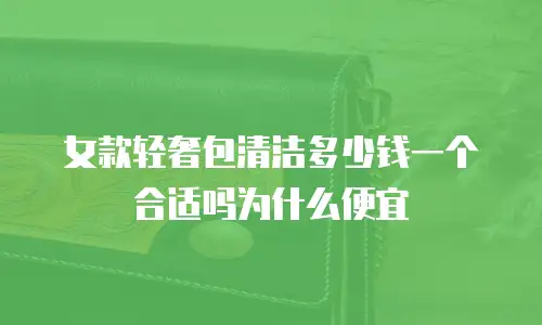 女款轻奢包清洁多少钱一个合适吗为什么便宜