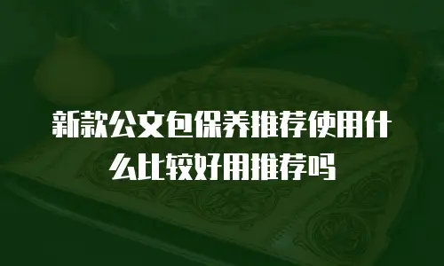 新款公文包保养推荐使用什么比较好用推荐吗