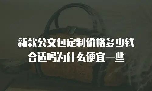 新款公文包定制价格多少钱合适吗为什么便宜一些