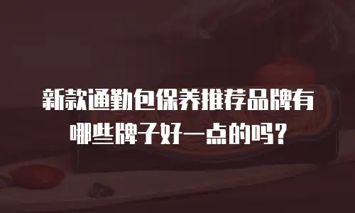 新款通勤包保养推荐品牌有哪些牌子好一点的吗？