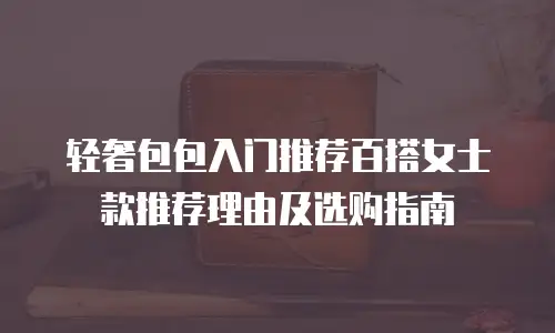 轻奢包包入门推荐百搭女士款推荐理由及选购指南