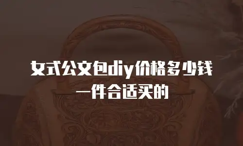 女式公文包diy价格多少钱一件合适买的