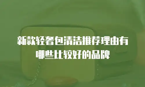 新款轻奢包清洁推荐理由有哪些比较好的品牌