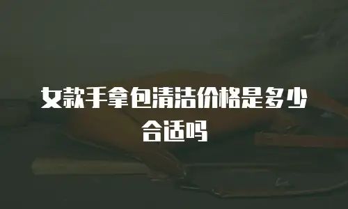 女款手拿包清洁价格是多少合适吗