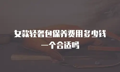 女款轻奢包保养费用多少钱一个合适吗