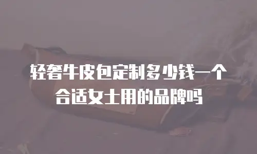 轻奢牛皮包定制多少钱一个合适女士用的品牌吗
