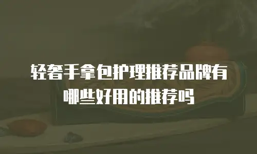 轻奢手拿包护理推荐品牌有哪些好用的推荐吗
