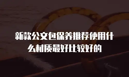 新款公文包保养推荐使用什么材质最好比较好的