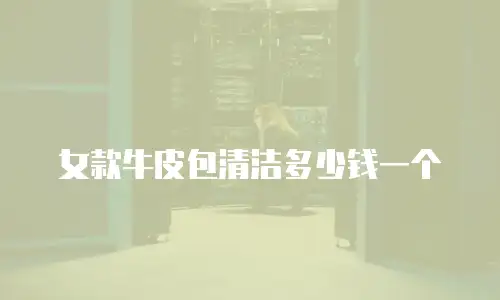 女款牛皮包清洁多少钱一个