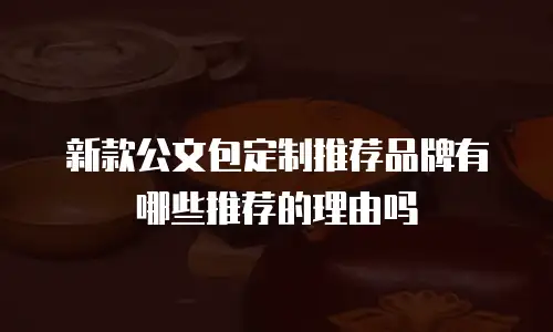 新款公文包定制推荐品牌有哪些推荐的理由吗