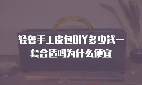 轻奢手工皮包DIY多少钱一套合适吗为什么便宜